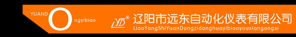 《中共中央 國務院關于開展質量提升行動的指導意見 》貫徹落實專題